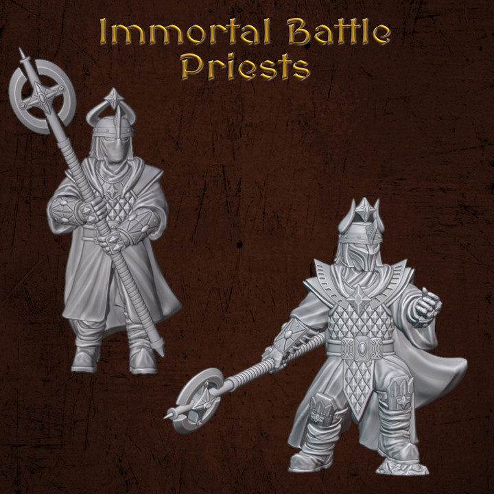 Immortal Battle Priests image