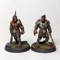 Picture of print of Hobgoblin Warband - Book of Beasts - Tabletop Miniatures (Pre-Supported)