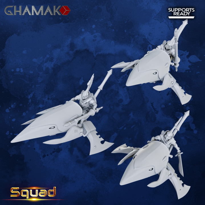 Elda Rider Squadron image