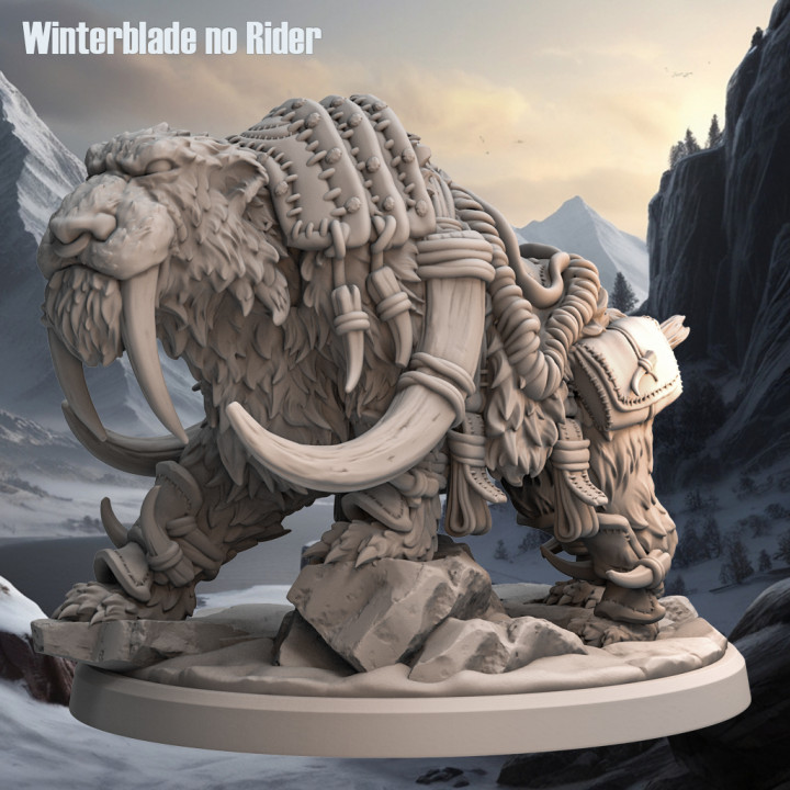 Winterblade Rider - Frost Tribe image