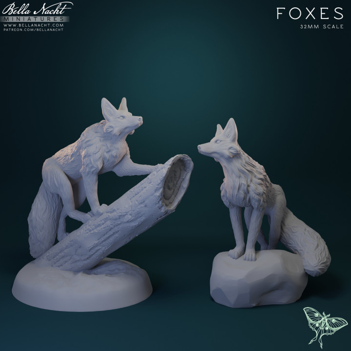Foxes image