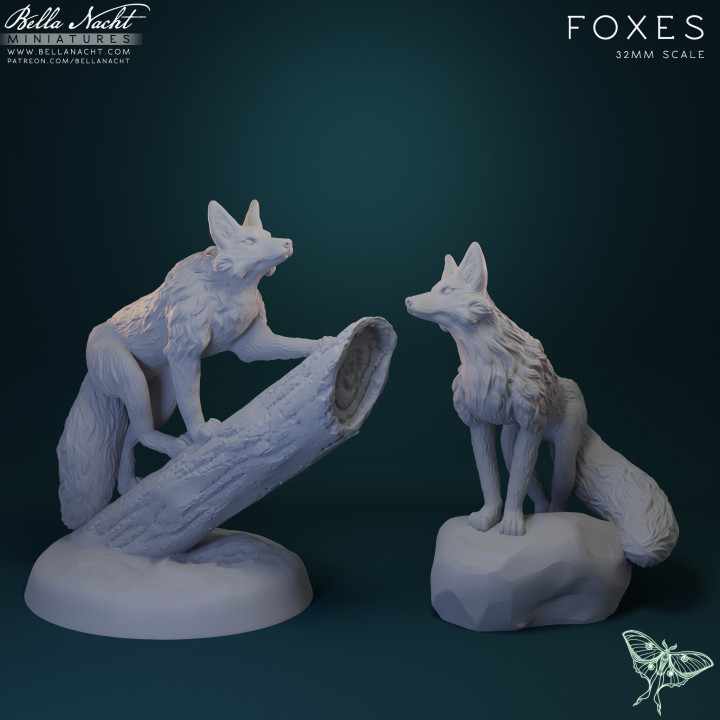 Foxes