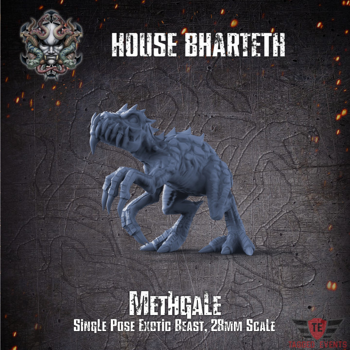 House Bharteth - Methgale image