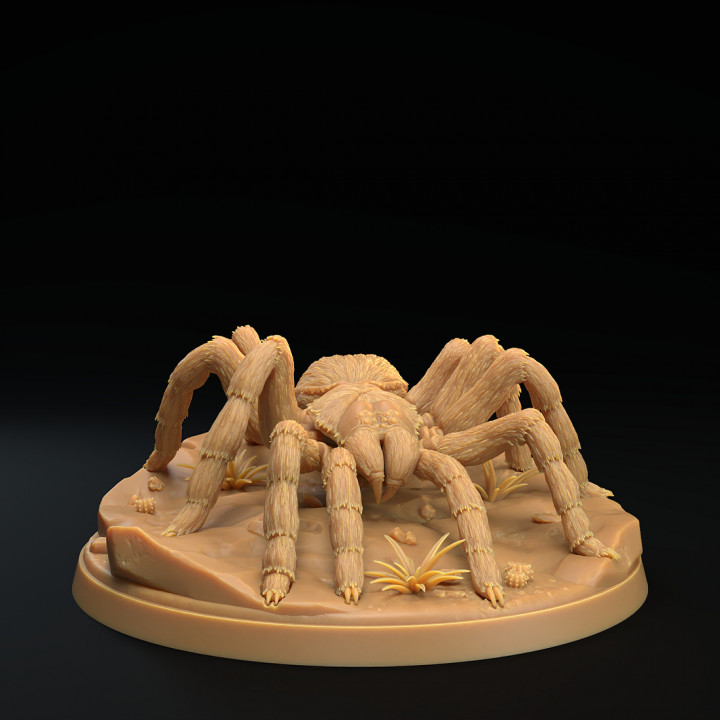 Tarantulas Pack - Supported image