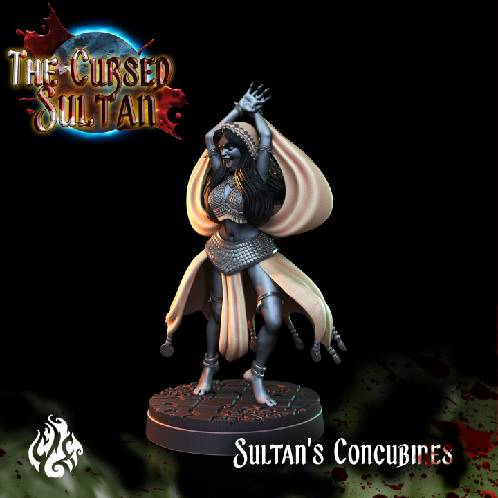 Sultan's Concubines image