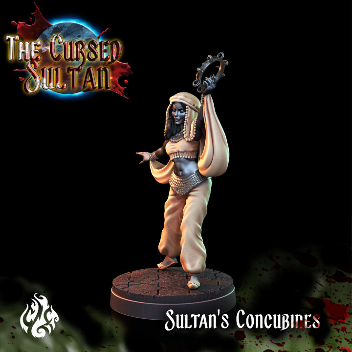 Sultan's Concubines image