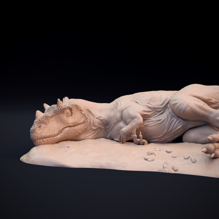 Ceratosaurus sleeping - dinosaur carnivore image