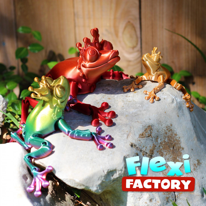 Flexi Print-in-Place Frog Prince and Princess Prusa and Bambu painted 3mf files now added! image