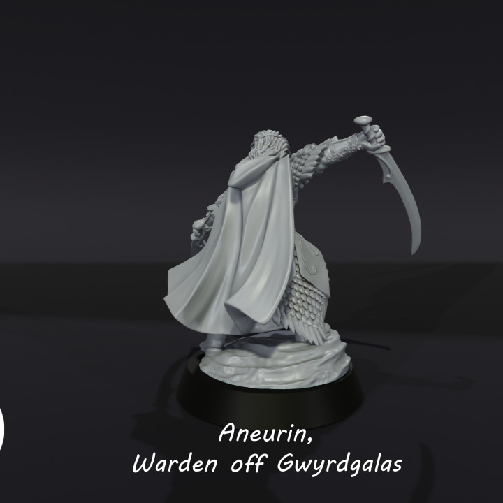 Aneurin, Warden off Gwyrdgalas image