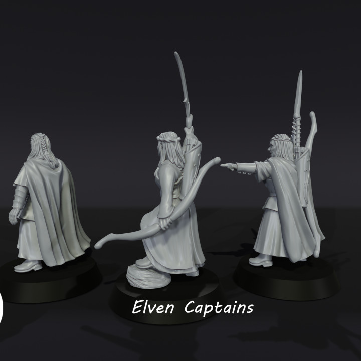 Elven Captains image