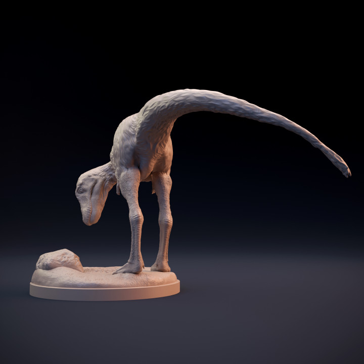 Juvenile Tyrannosaurus young dinosaur