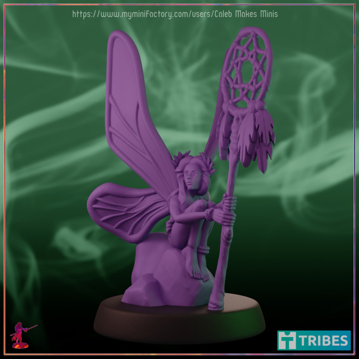 Dreamcatcher Fairy, Archfey Warlock | Witch Series image