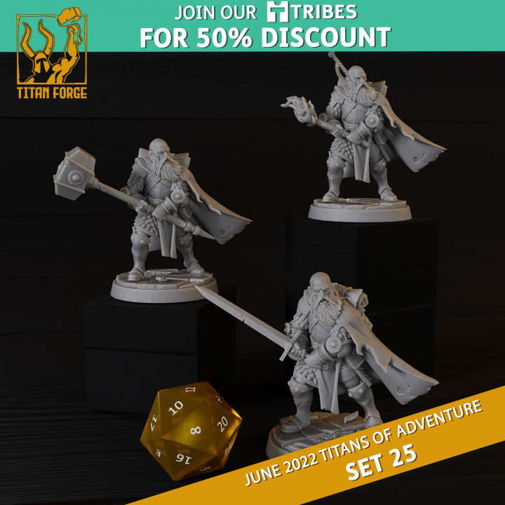 RPG - DnD Hero Characters - Titans of Adventure Set 25 image