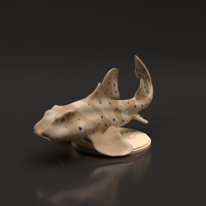 Horn Shark image
