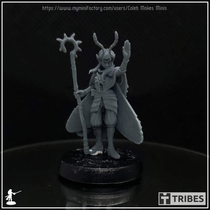 Firefly Fairy, Cleric [PRE-SUPPORTED] | Feywild Series