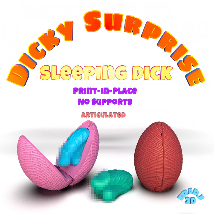 Dicky Surprise Sleeping Dick image