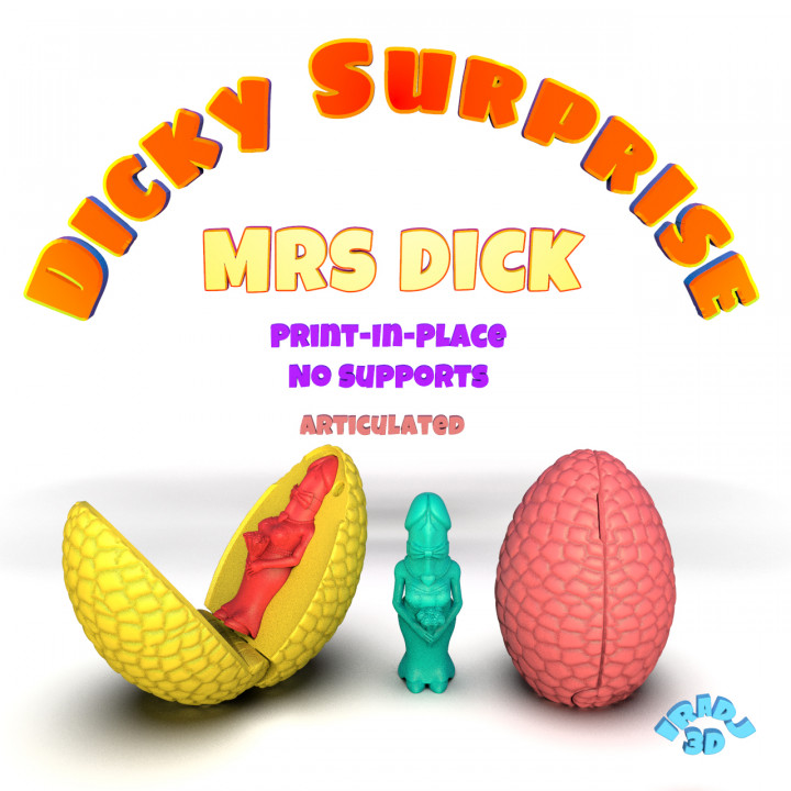 Dicky Surprise Mrs Dick image