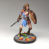 Amazons Collection Vol. 2 - 32mm scale print image