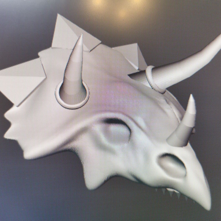 Ceremonial Triceratops Skull image