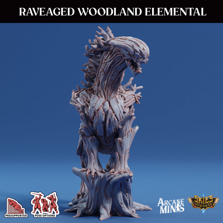 Ravaged Woodland Elemental image