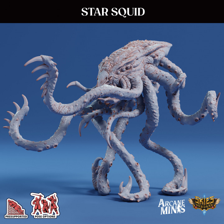 Star Squid image