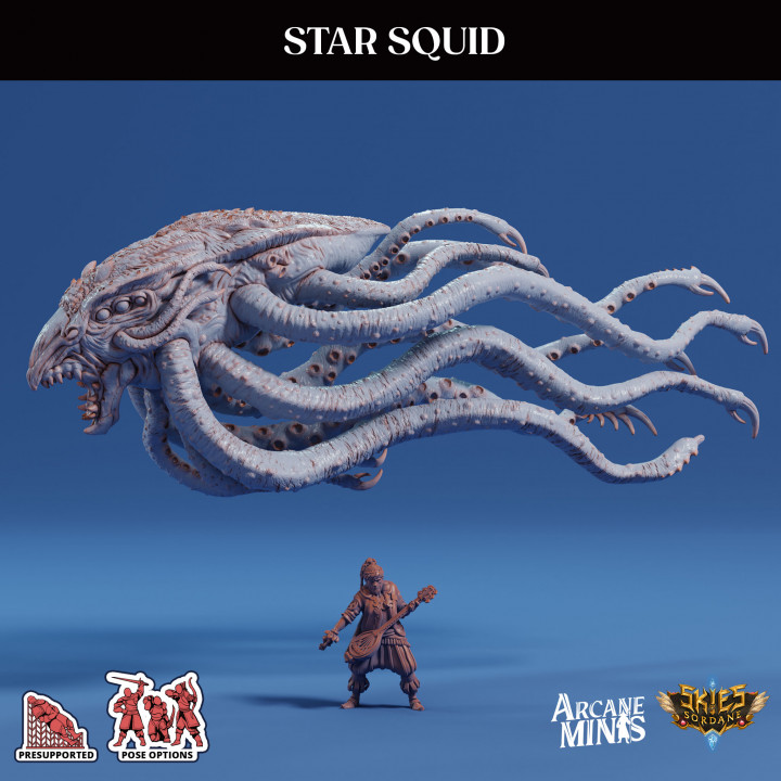 Star Squid image