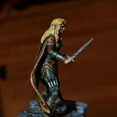Picture of print of Elf - Lauriel - THE MIRROR MAZE - MASTERS OF DUNGEONS QUEST