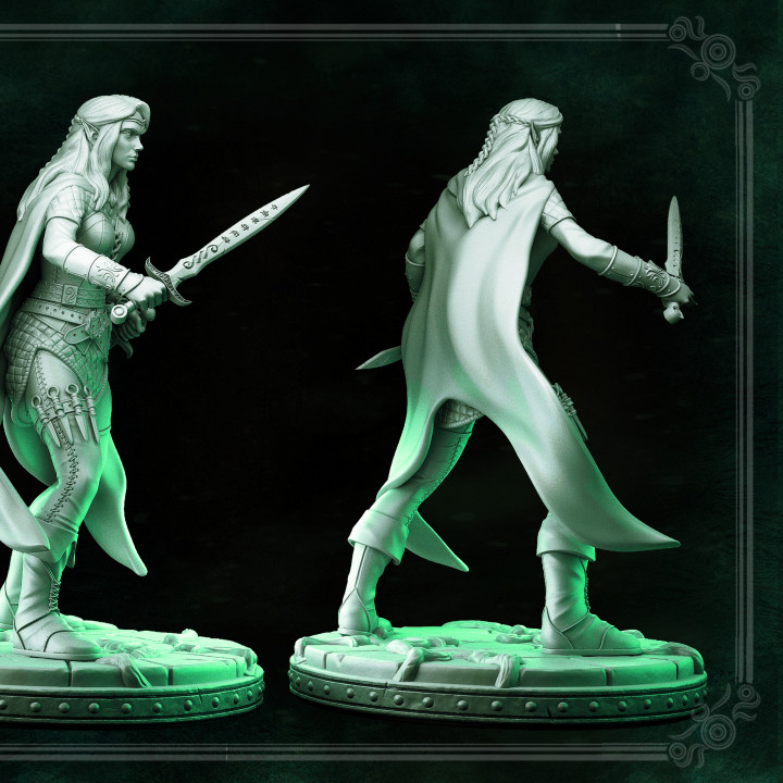 Elf - Lauriel - THE MIRROR MAZE - MASTERS OF DUNGEONS QUEST image