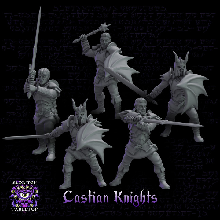 Castian Knights image