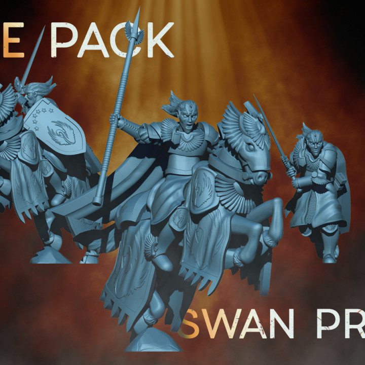 KZKMINIS - Swan Prince - on foot and mounted image