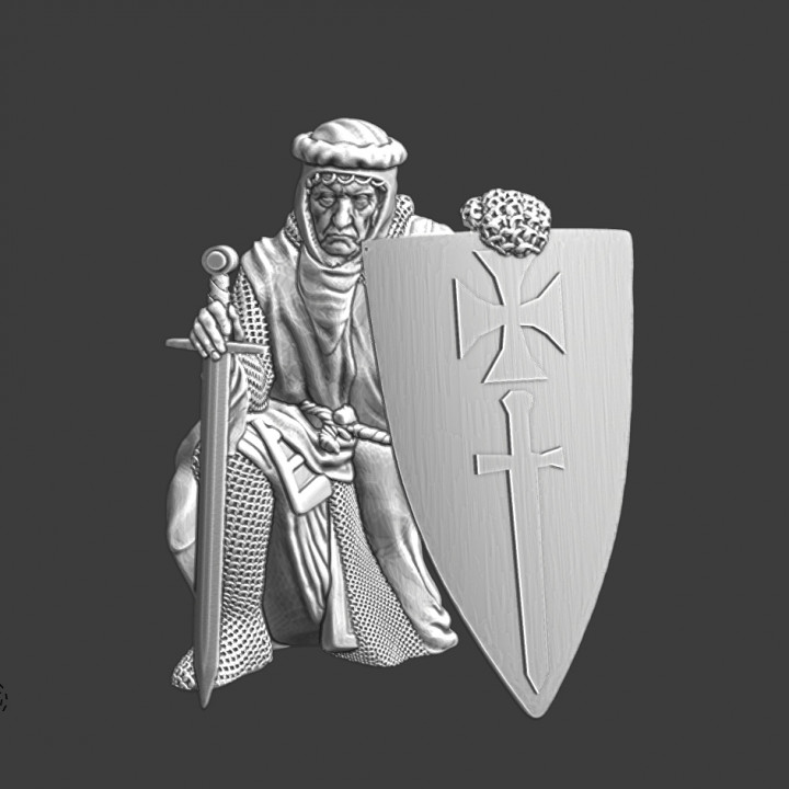 Medieval Livonian Knight - Praying image