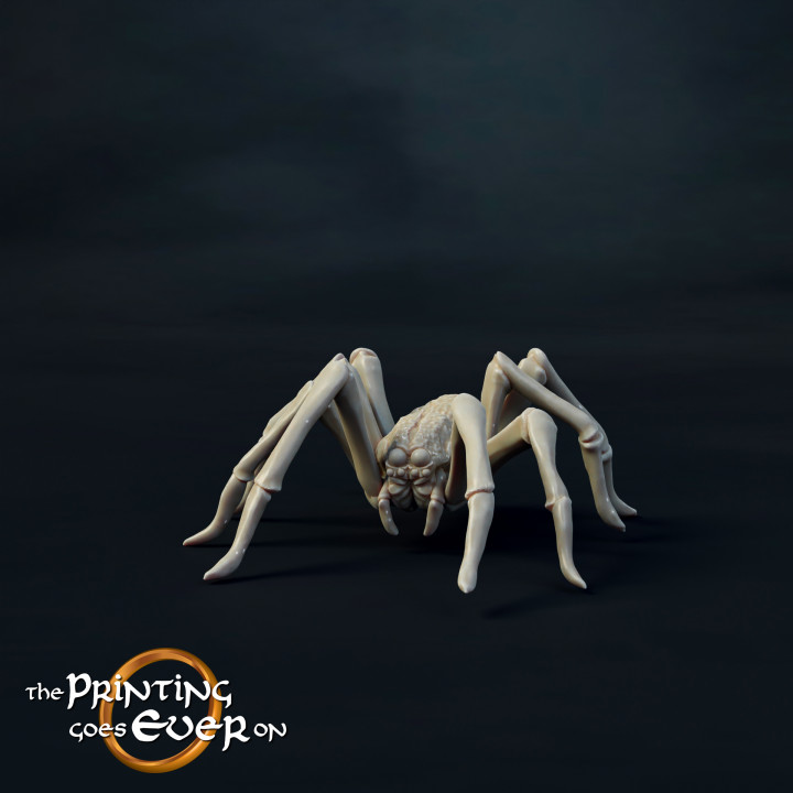 Medium Spider B - Presupported image
