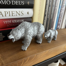 Picture of print of Bear
