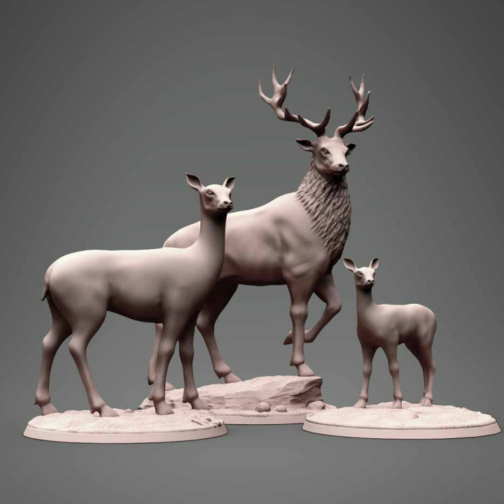 Deer family image