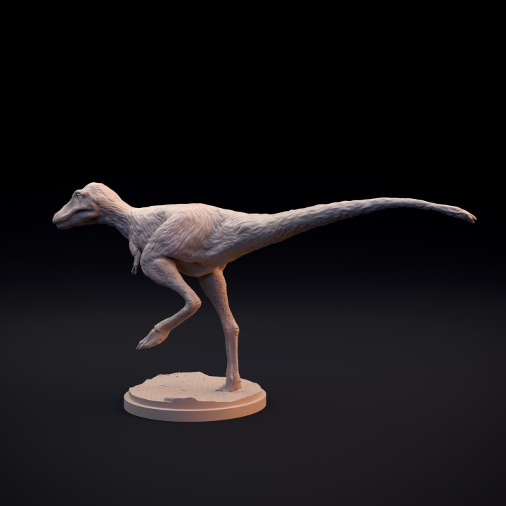Juvenile Tyrannosaurus running dinosaur