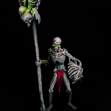 Picture of print of Flesh Skeleton Sword Squad