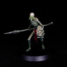 Picture of print of Flesh Skeleton Lance Squad