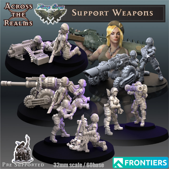 Pinup Support Weapons image