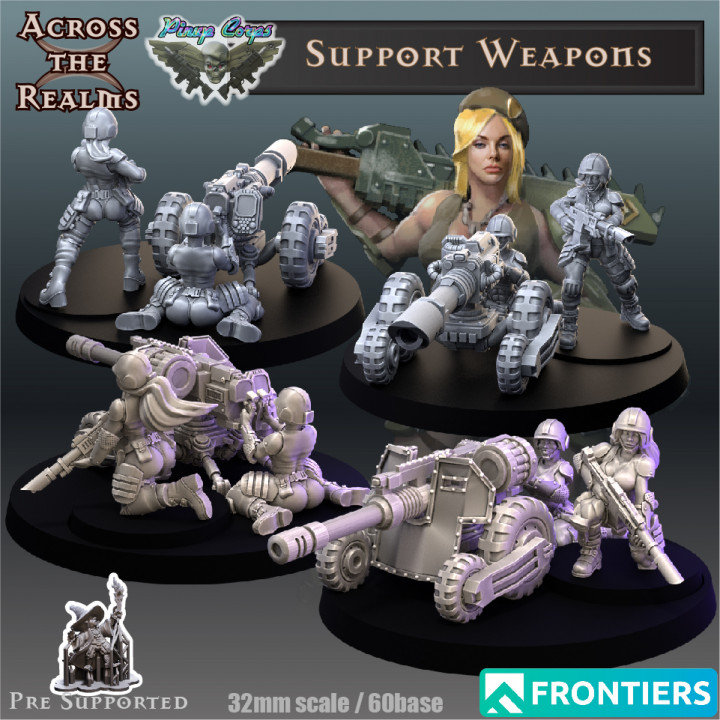 Pinup Support Weapons image