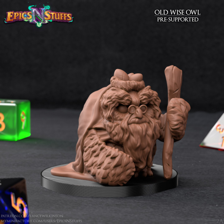 Old Wise Owlkin Miniature - Pre-Supported image