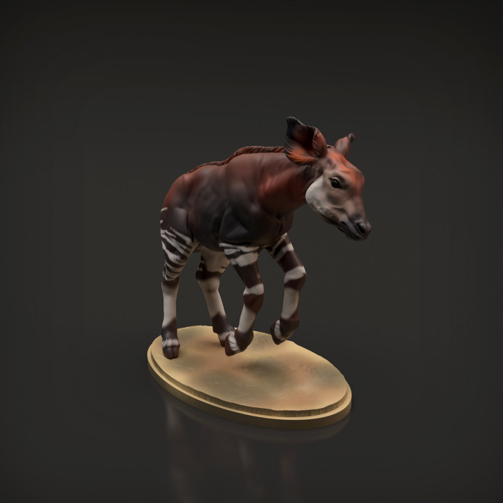 Okapi Calf image