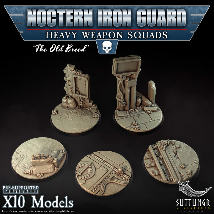 Noctern Iron Guard - Heavy Weapons Squad image