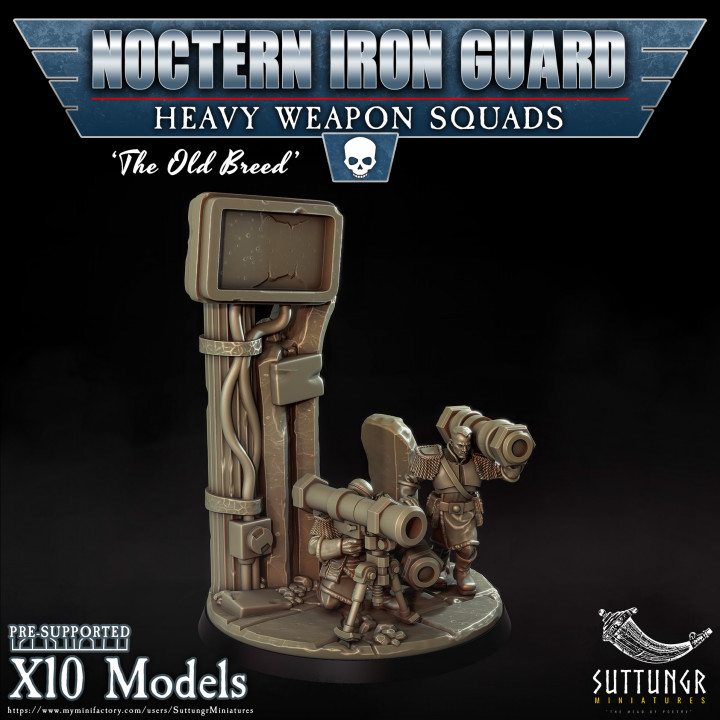 Noctern Iron Guard - Heavy Weapons Squad image