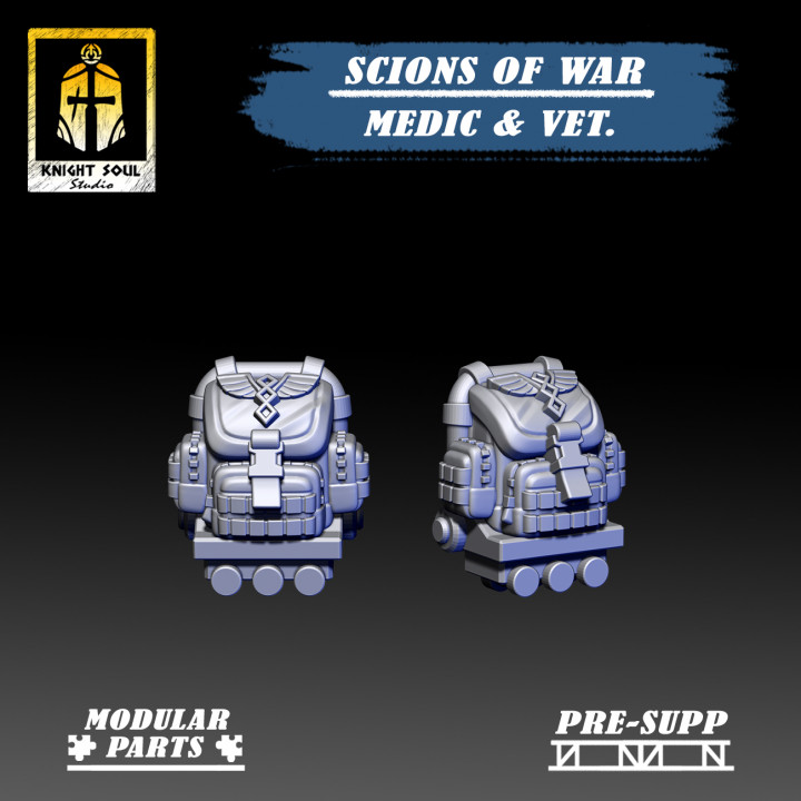 Scions of War: Medic & Veteran image