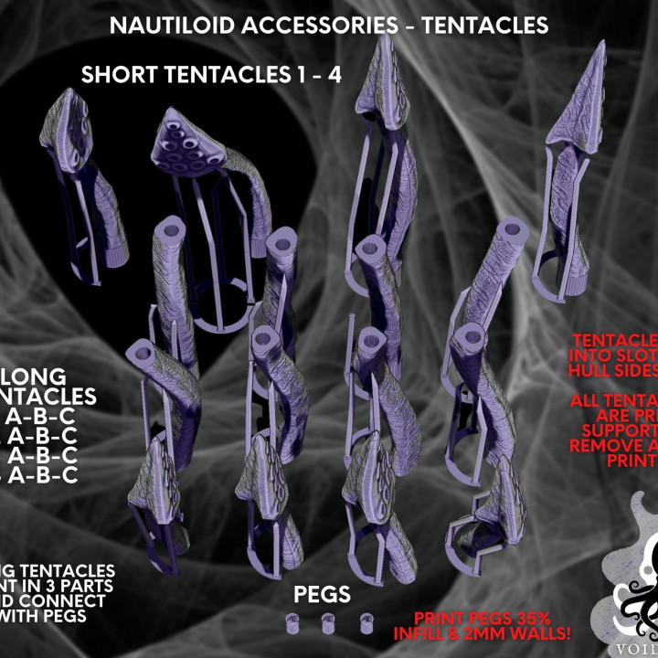 KS5EGG02 - The Nautiloid image