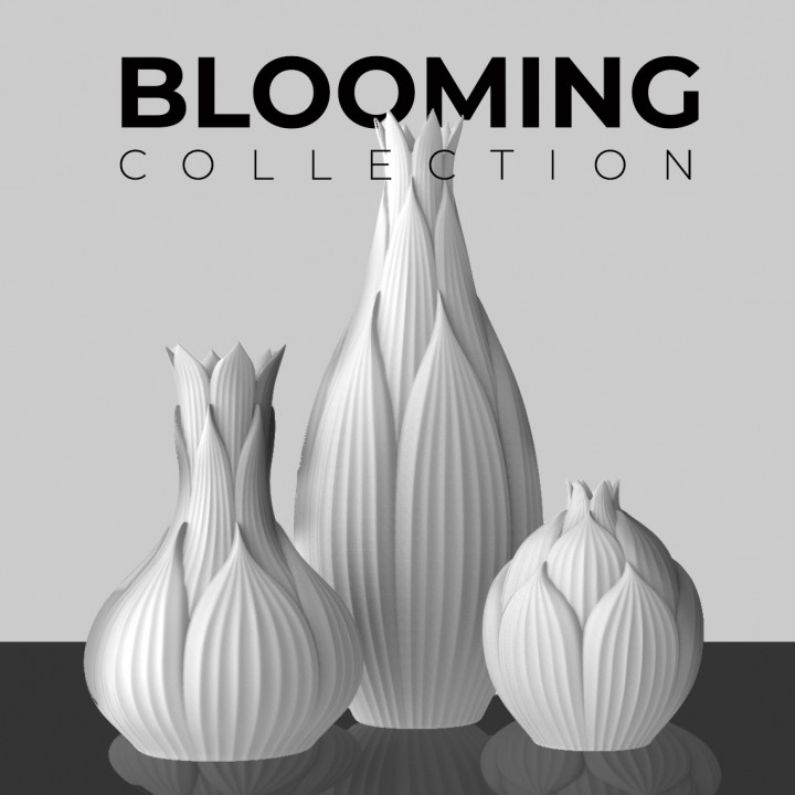Blooming Collection image