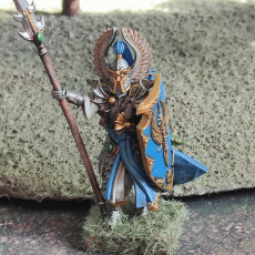 Picture of print of High elves spear lord