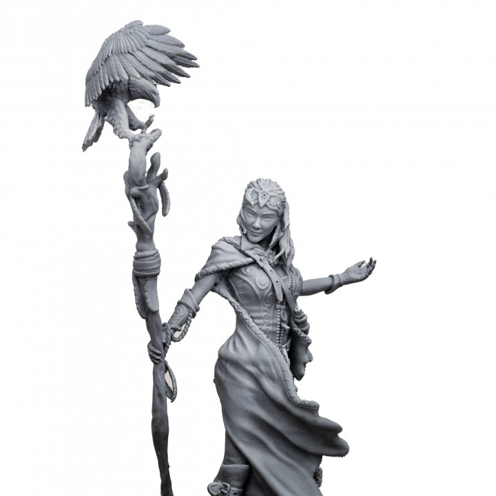 Lady Falconer (1:12 & 1:24 scales) - The Forest Creatures image