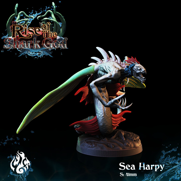 Sea Harpy image