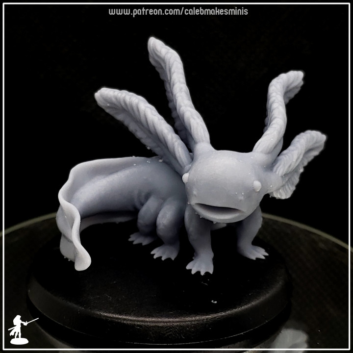 Lotlox [PRE-SUPPORTED] | Axolotl Series image